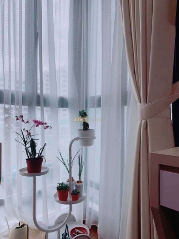 Day curtains with flower pots