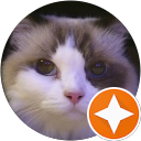 Kitty World